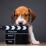 Dog with Movie Reel